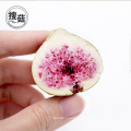 Venta caliente de Amazon Chips de fruta Snack de higos liofilizado